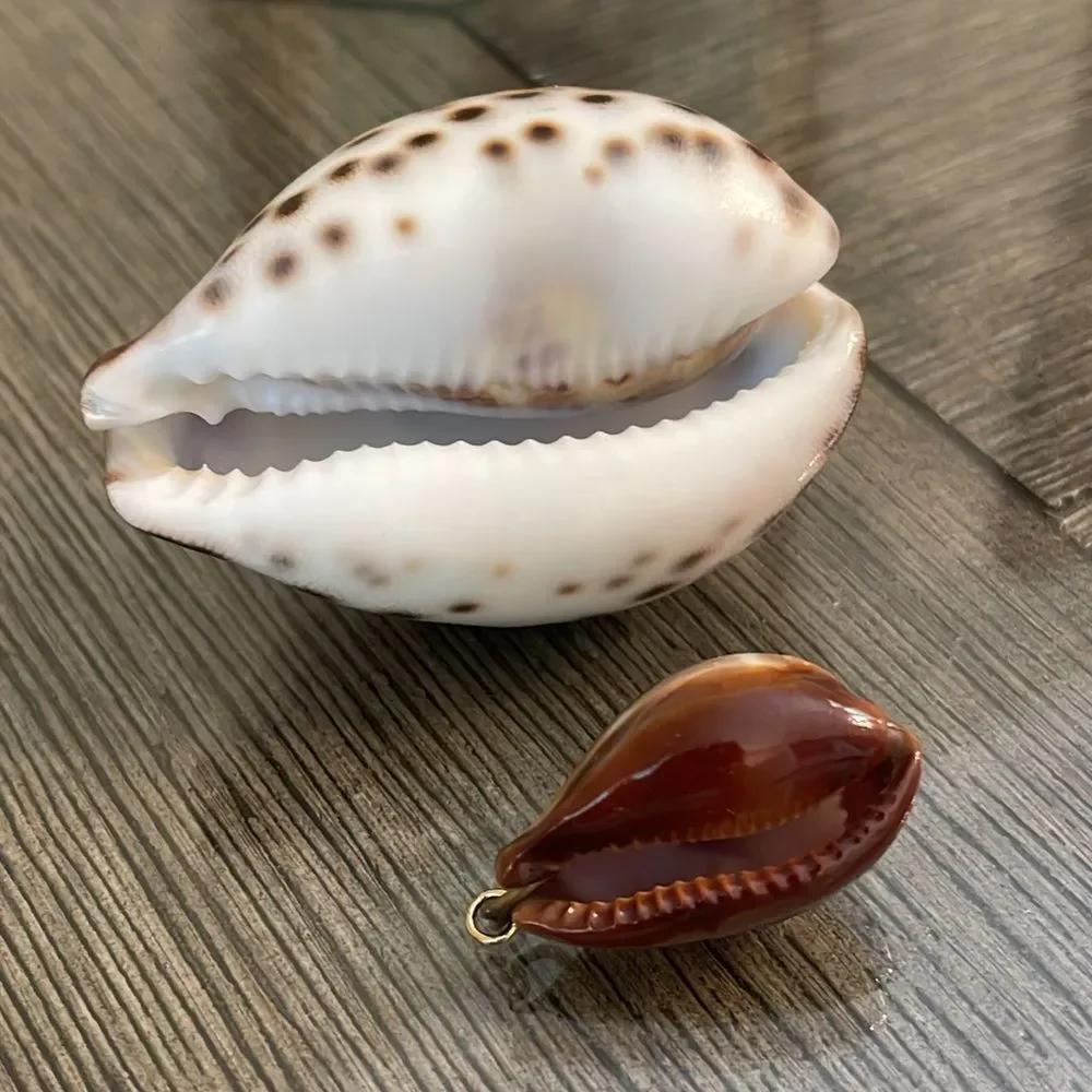 Vintage Engraved Tiger Cowrie Shell With “Jane” & Dolphin Pendant
